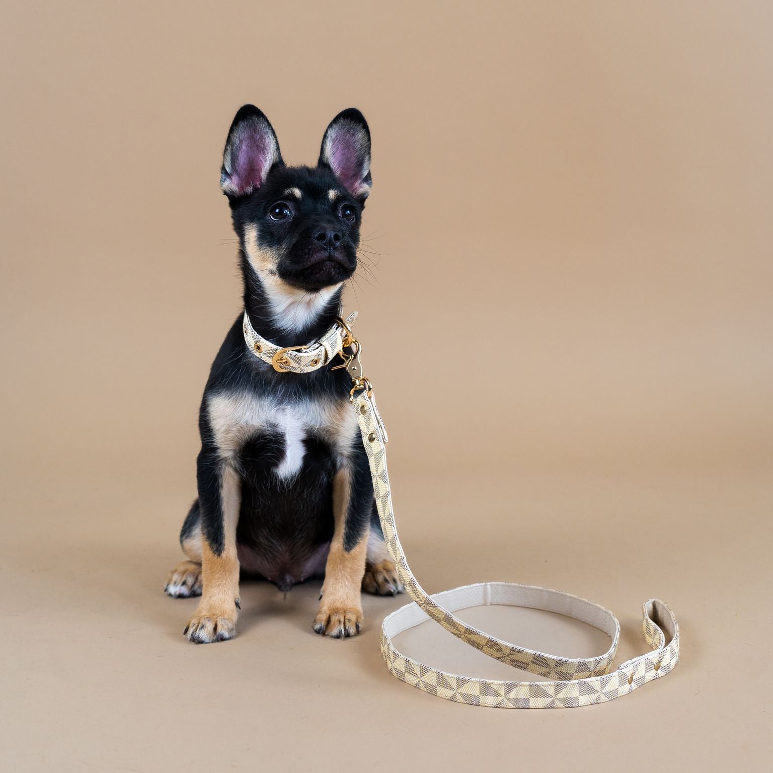 Signature Collar & Leash