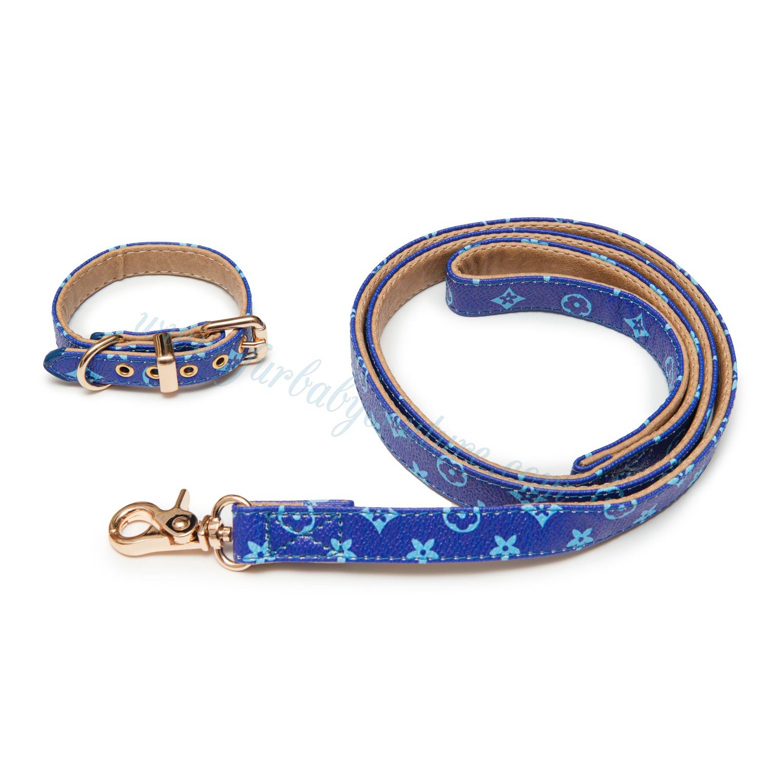 Chewy Collar & Leash
