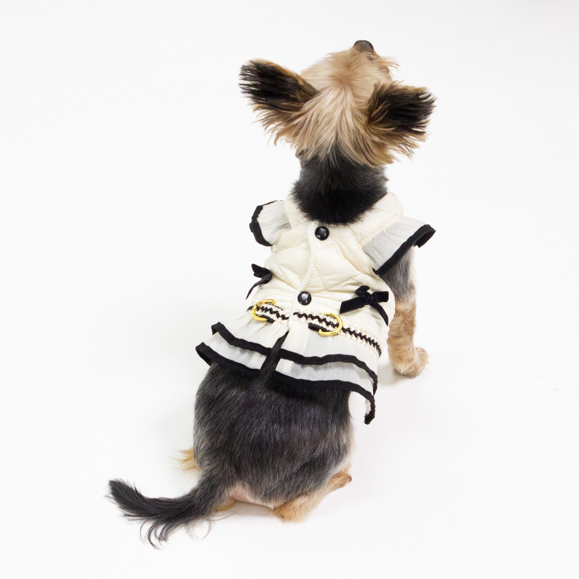Luna Harness & Leash