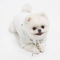 Load image into Gallery viewer, Essentials Hoodie