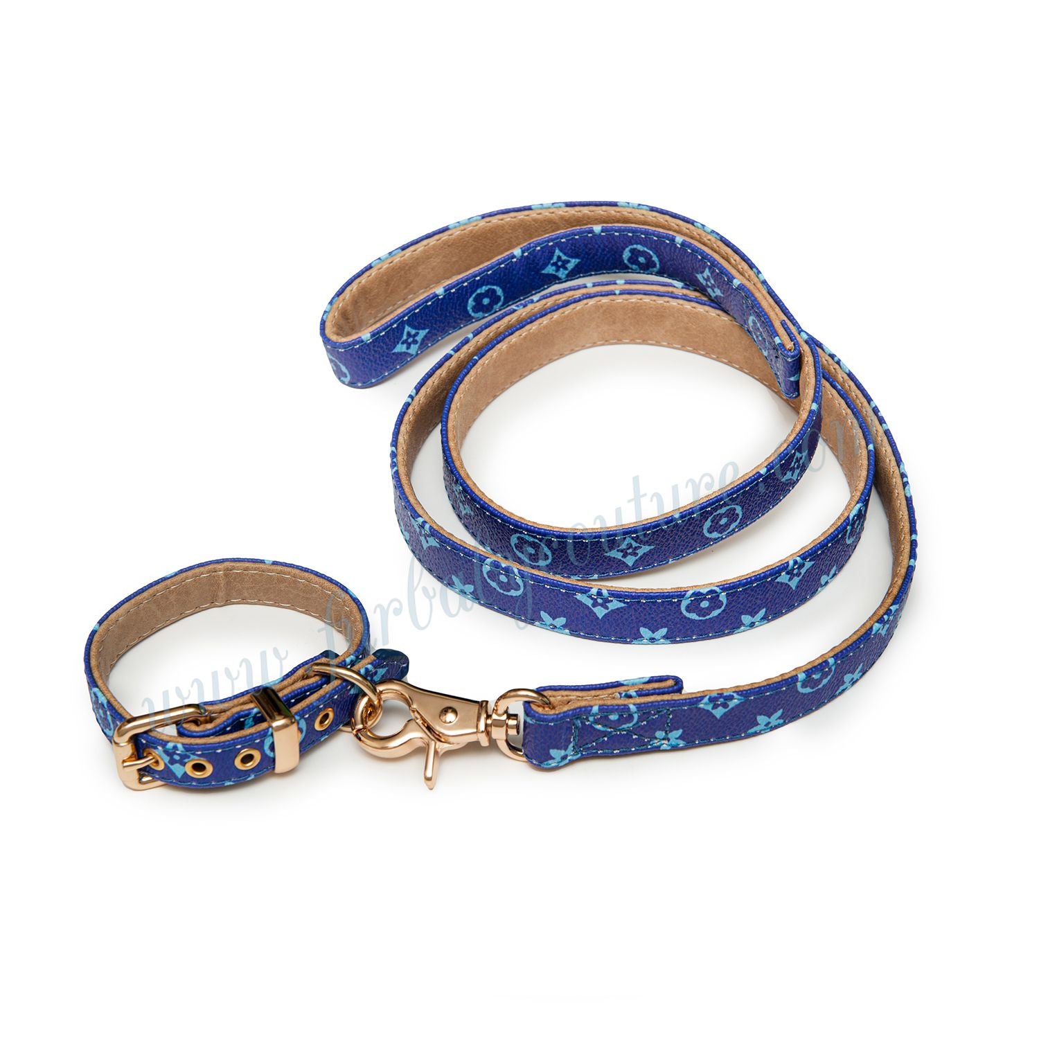 Chewy Collar & Leash