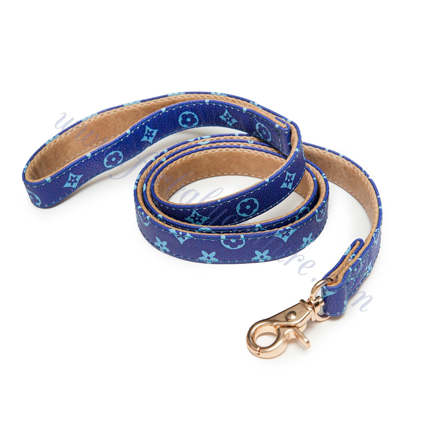 Chewy Collar & Leash
