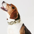 Load image into Gallery viewer, Signature Collar & Leash