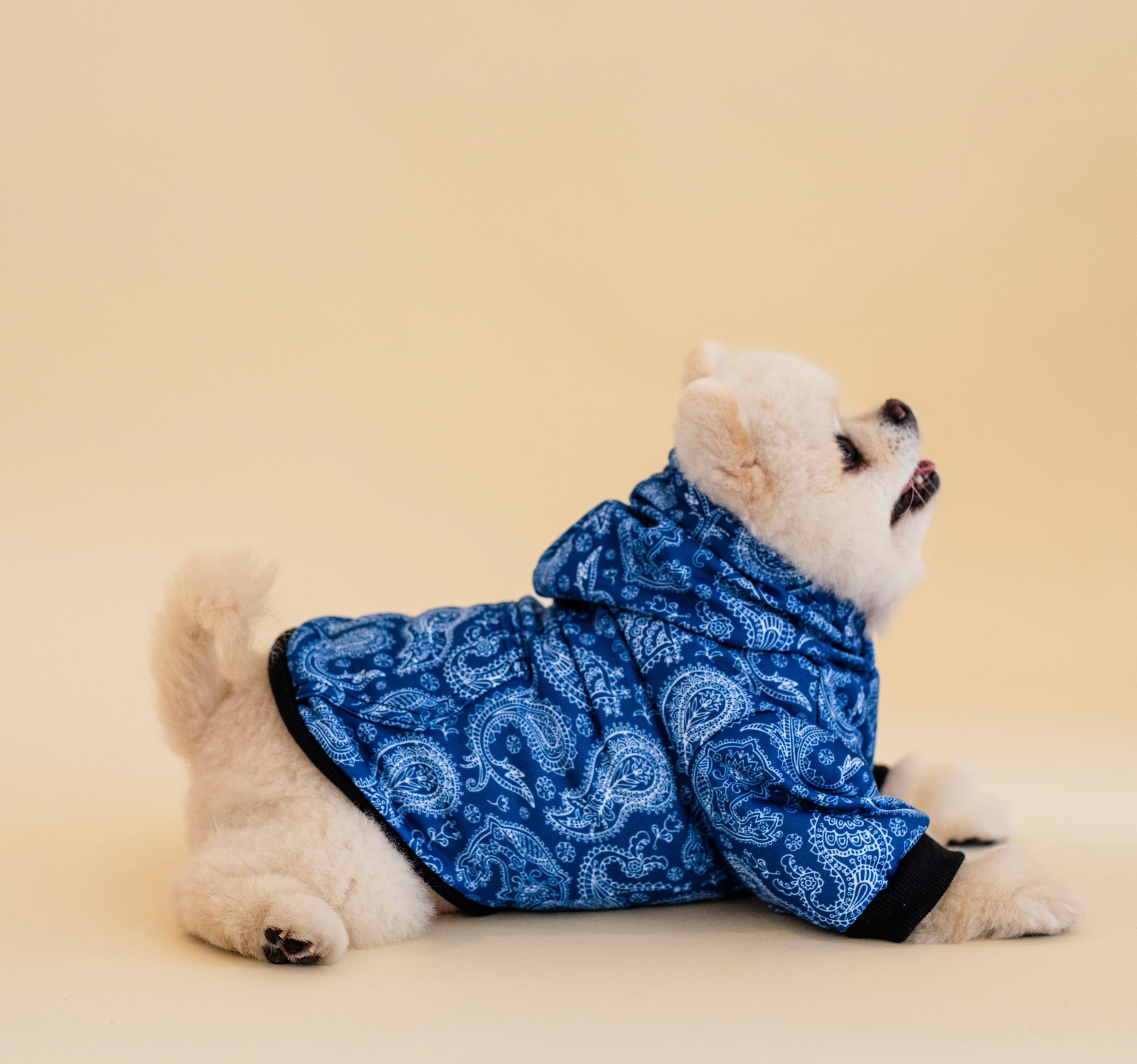 Paisley Hoodie
