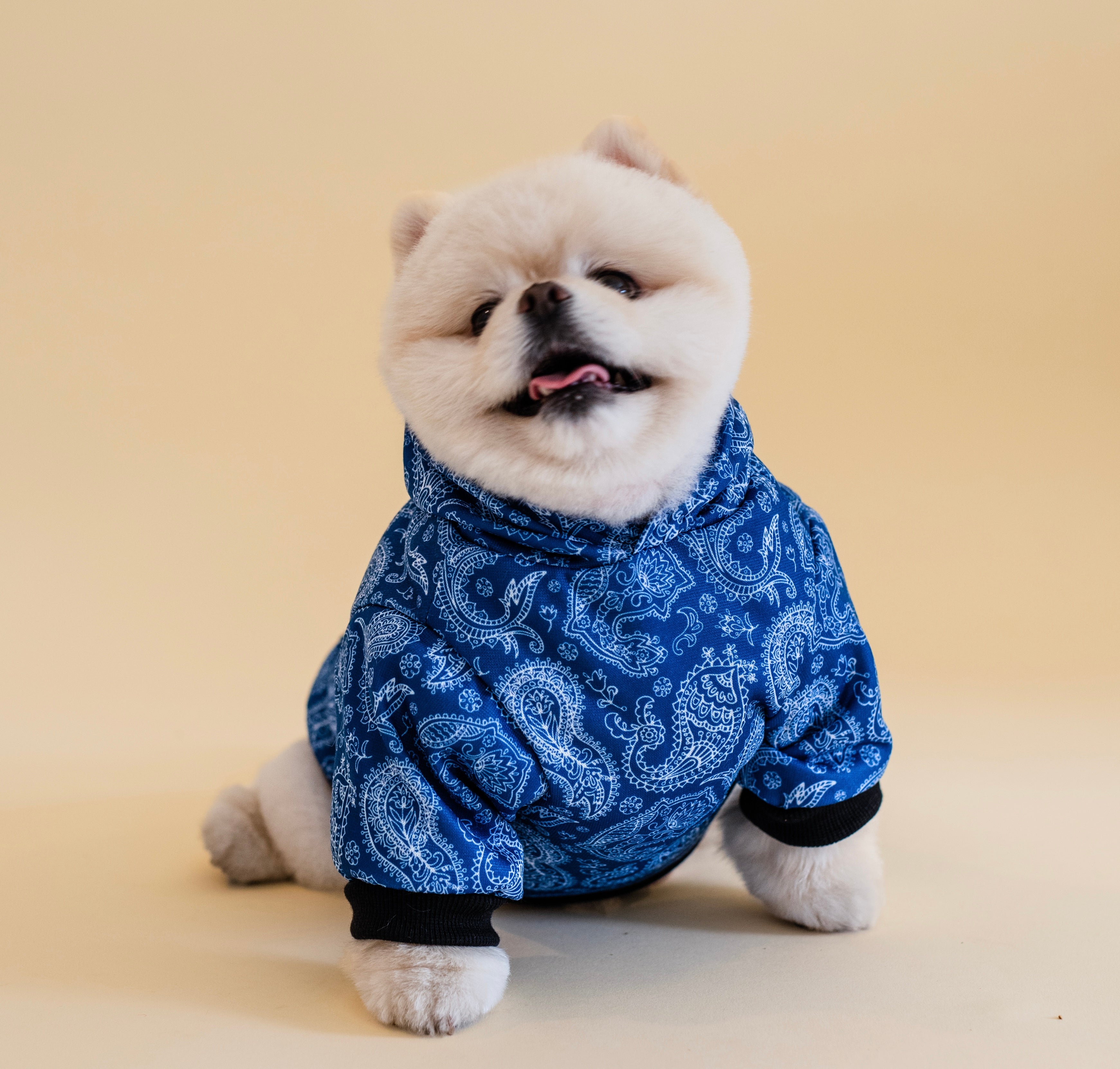Paisley Hoodie