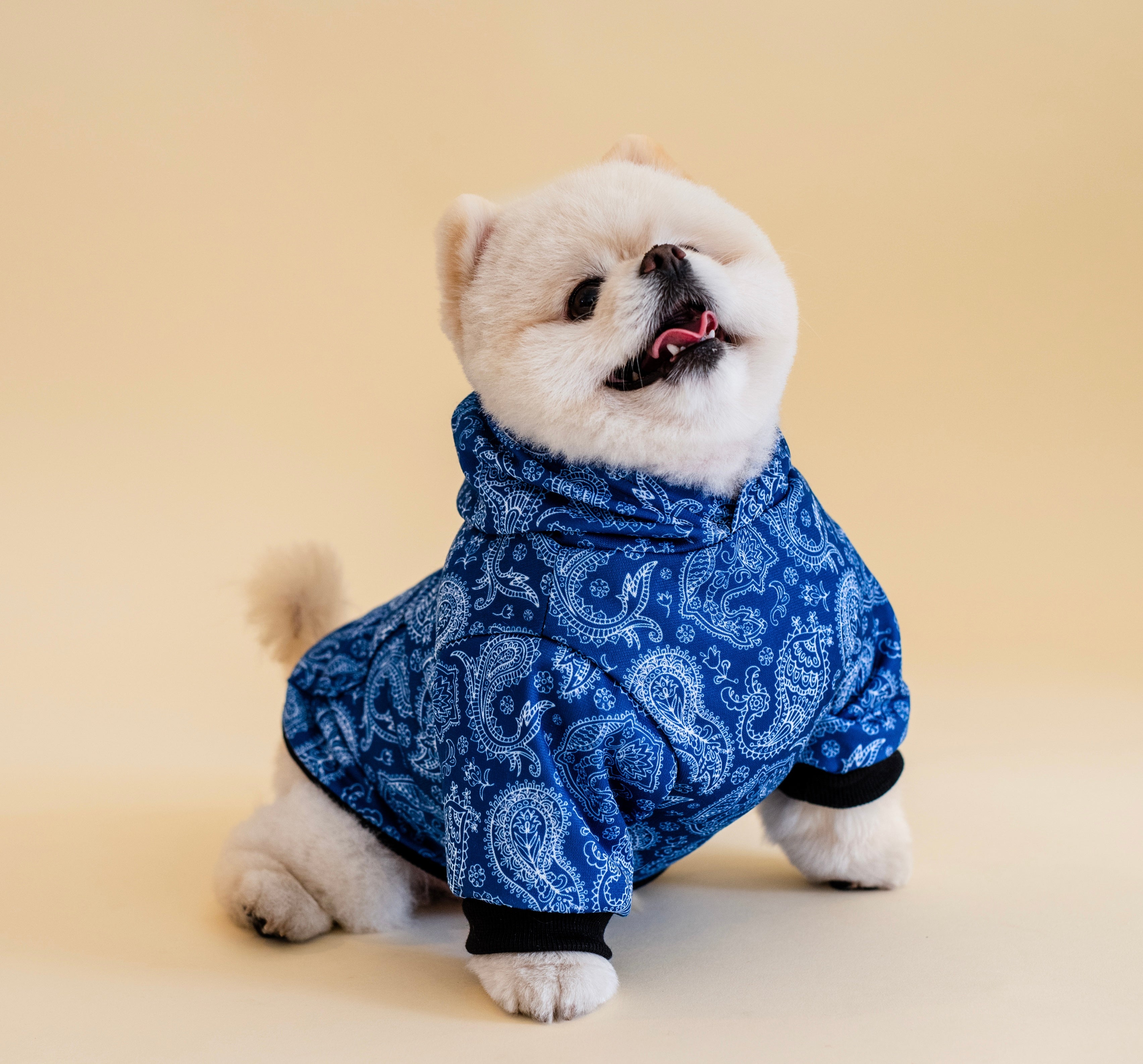 Paisley Hoodie