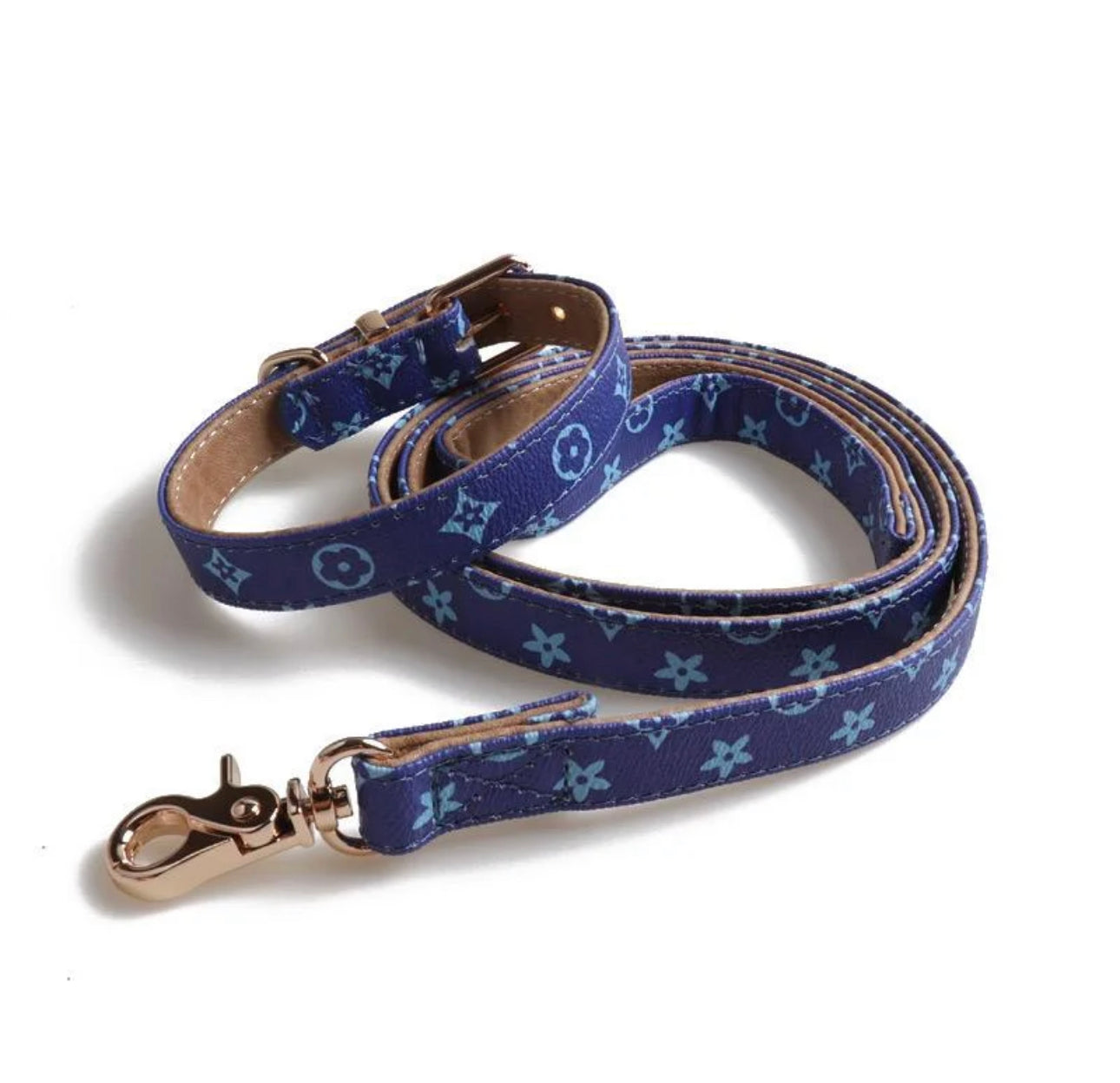 Chewy Collar & Leash