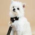 Load image into Gallery viewer, Coco Collar & Leash White
