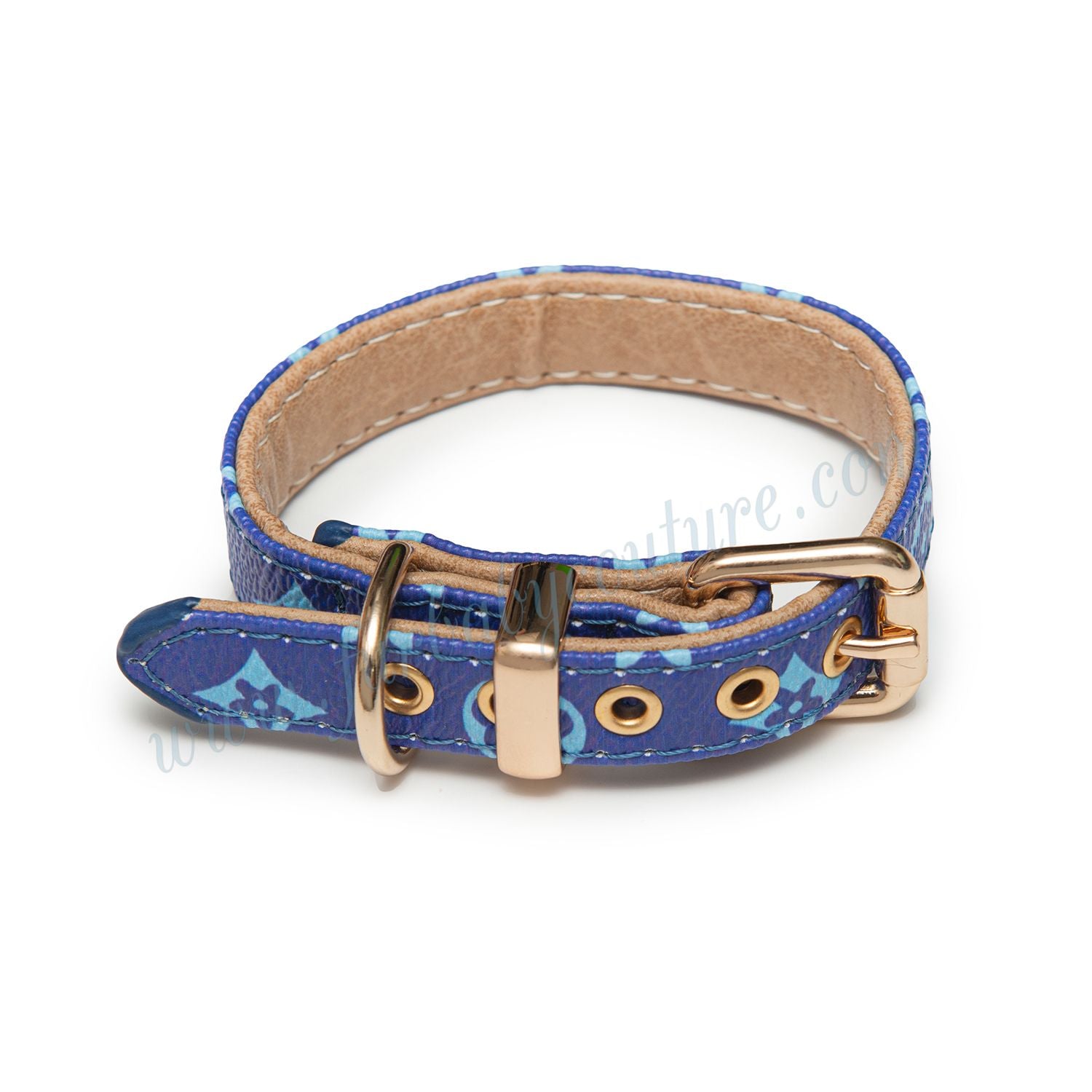 Chewy Collar & Leash