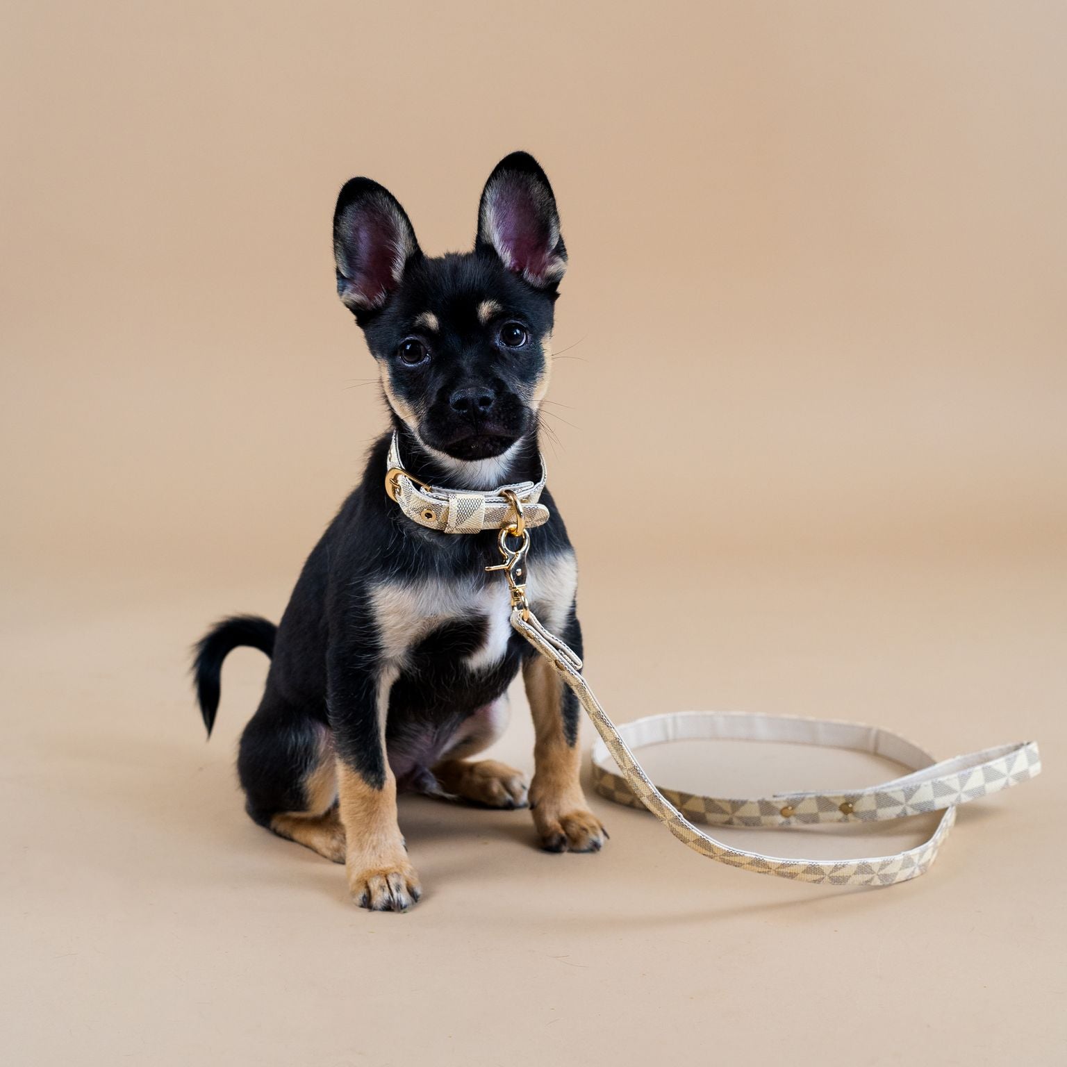 Signature Collar & Leash