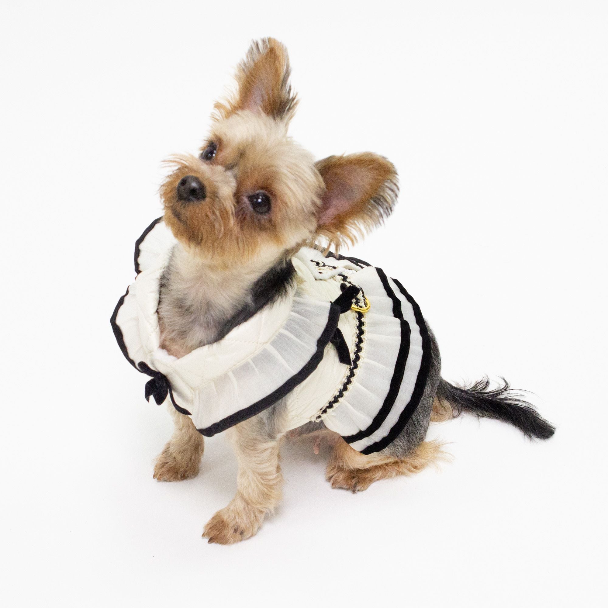 Luna Harness & Leash