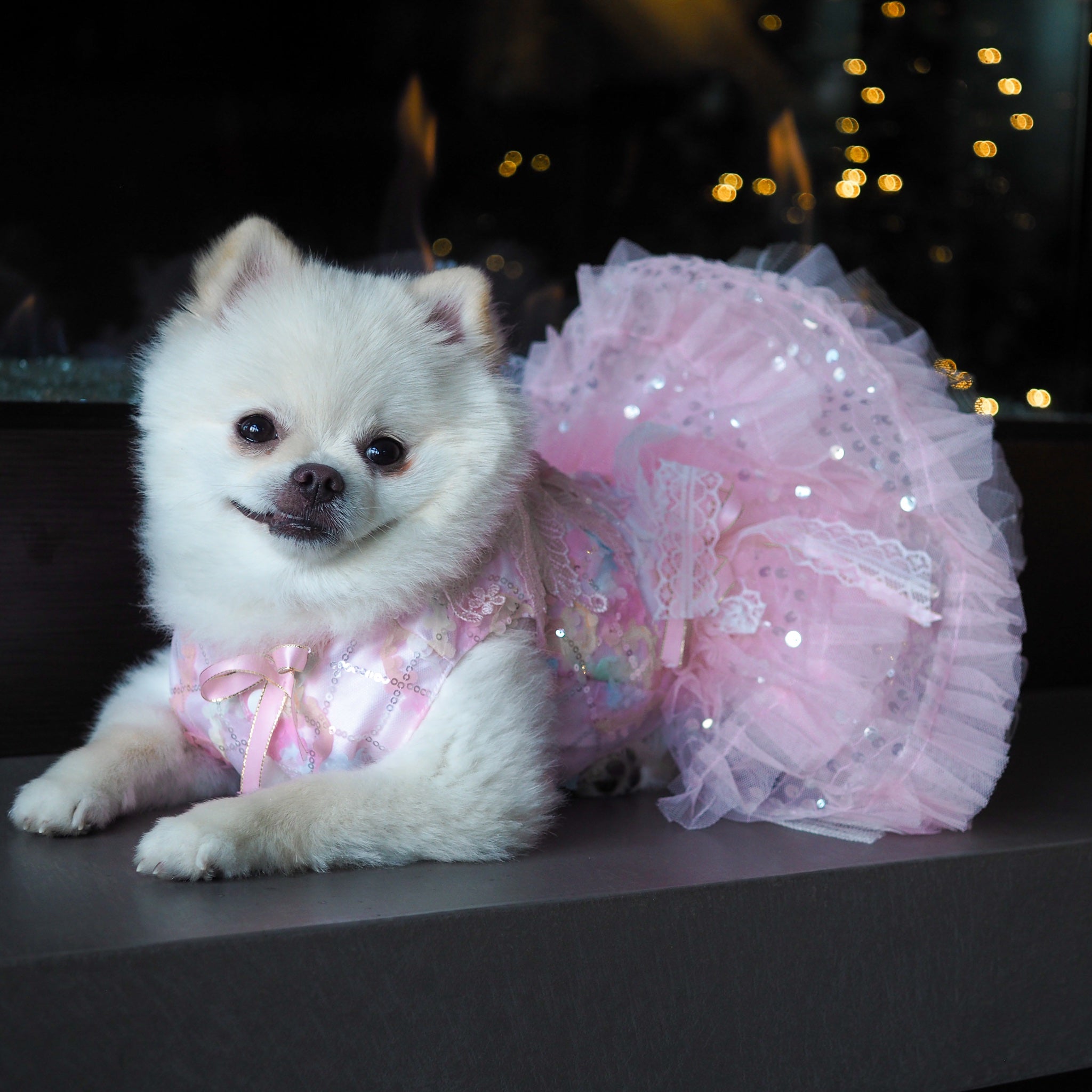 Mochi Dress