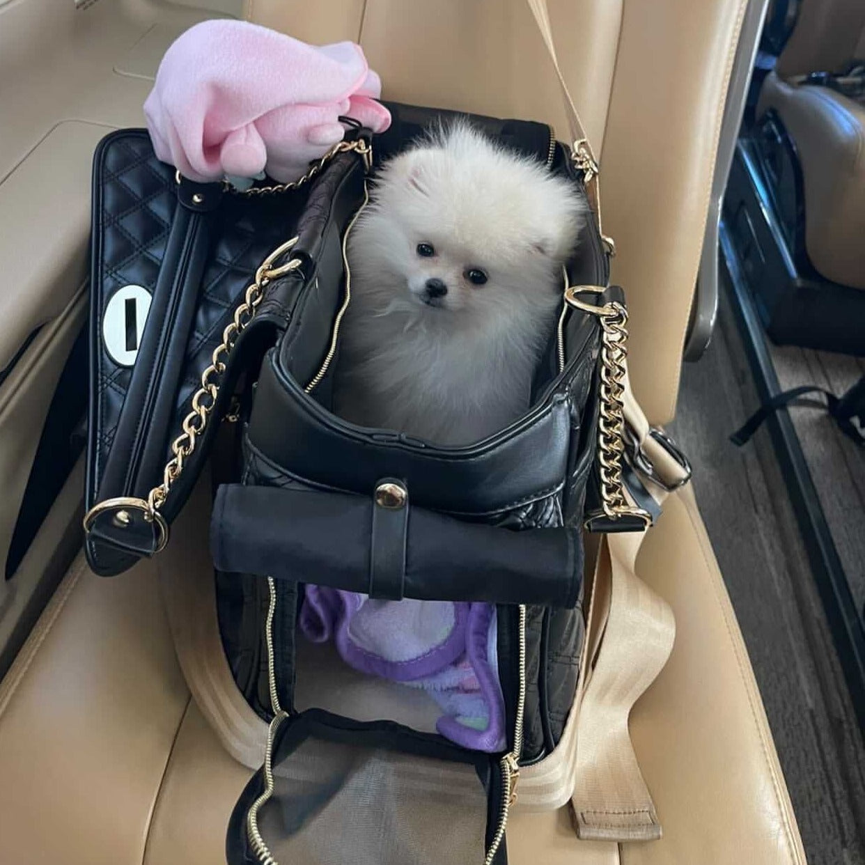 Signature Quilted Carrier