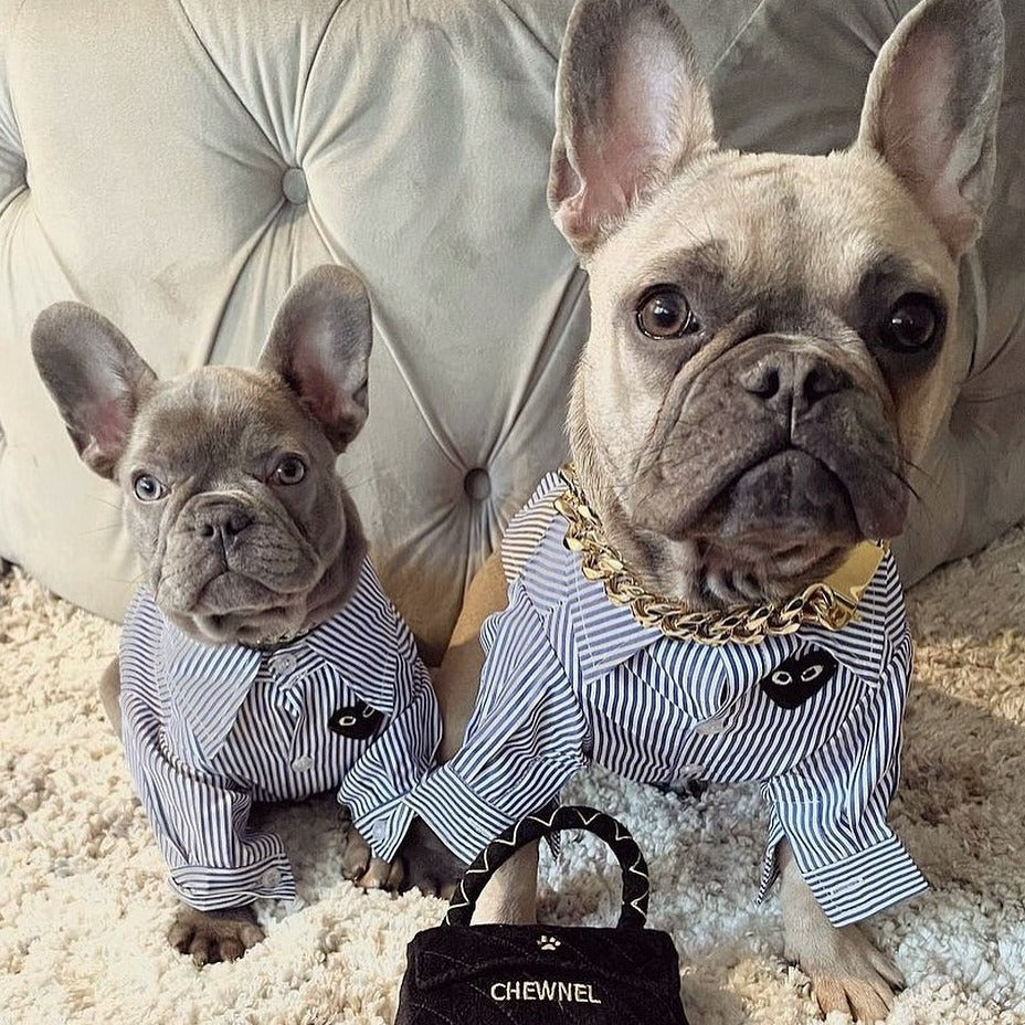 charlie button up model