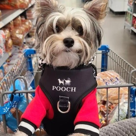 Pooch Harness