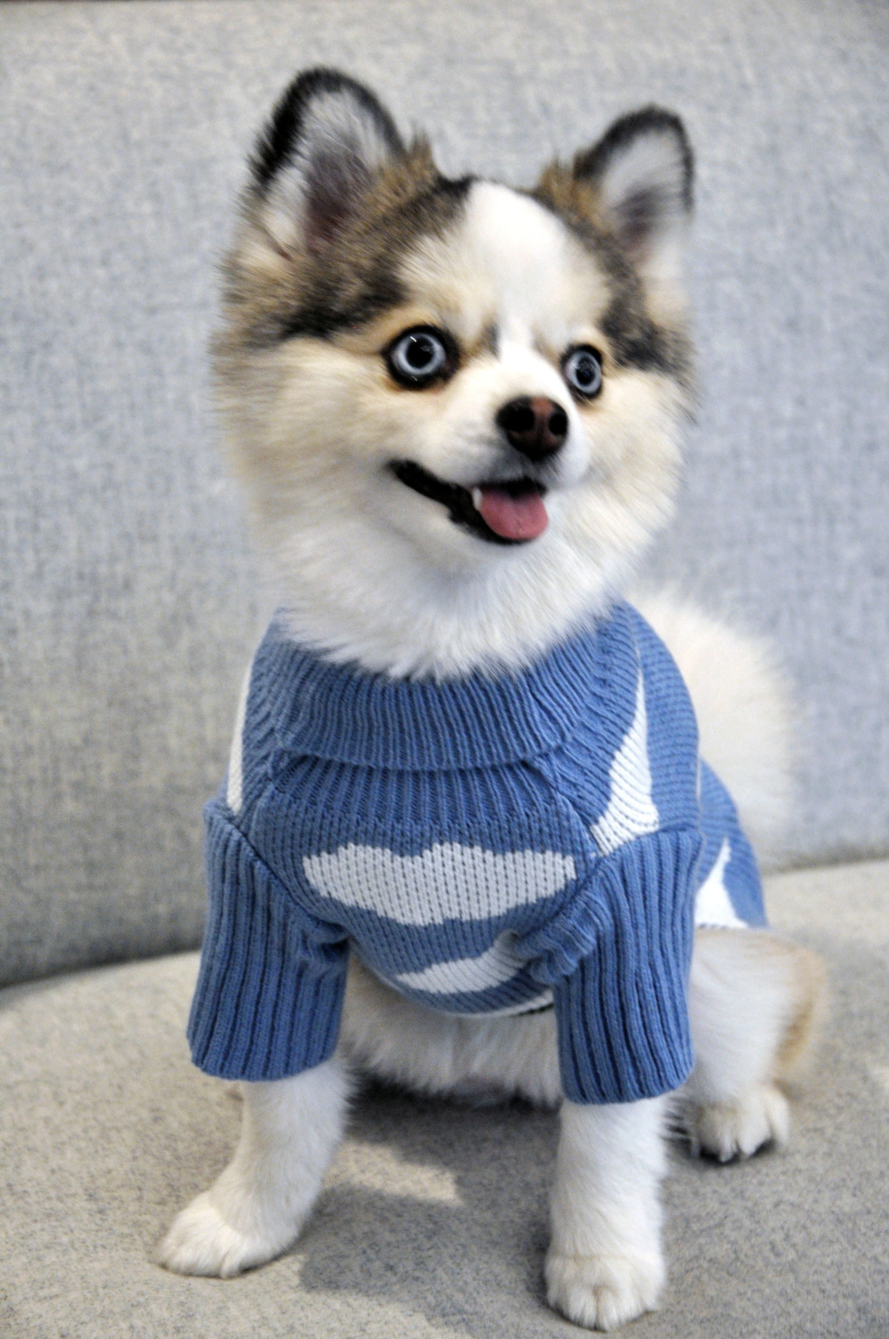 Cloud Knit