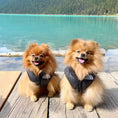Load image into Gallery viewer, Dog Face Vest