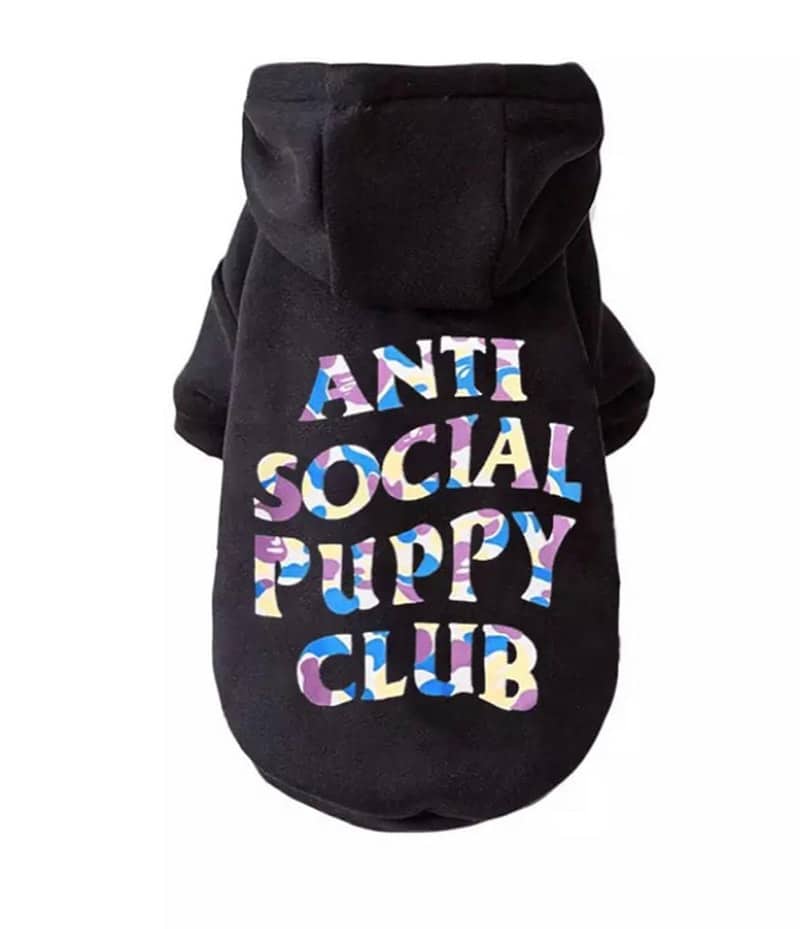 ASSP Hoodie