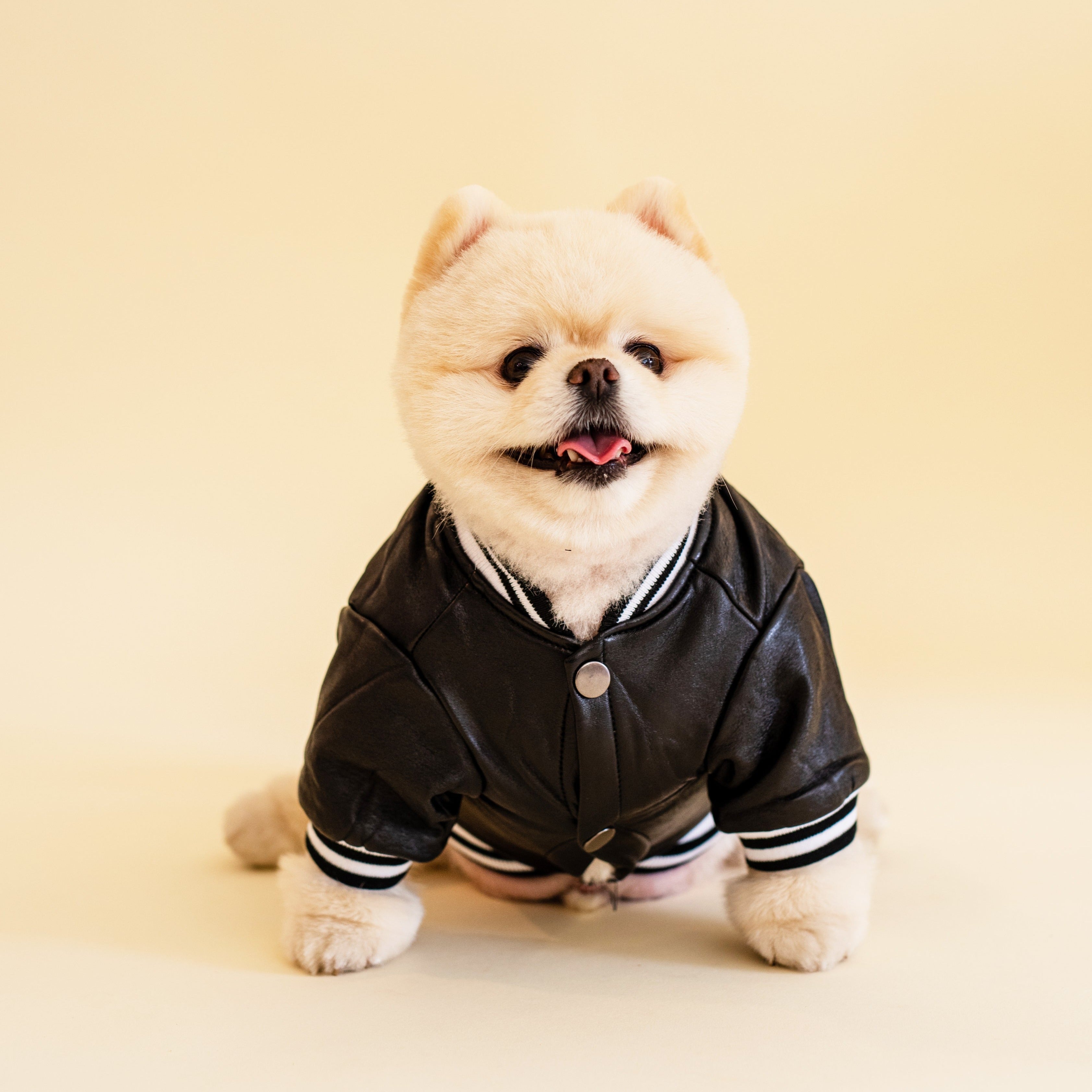 Varsity Jacket