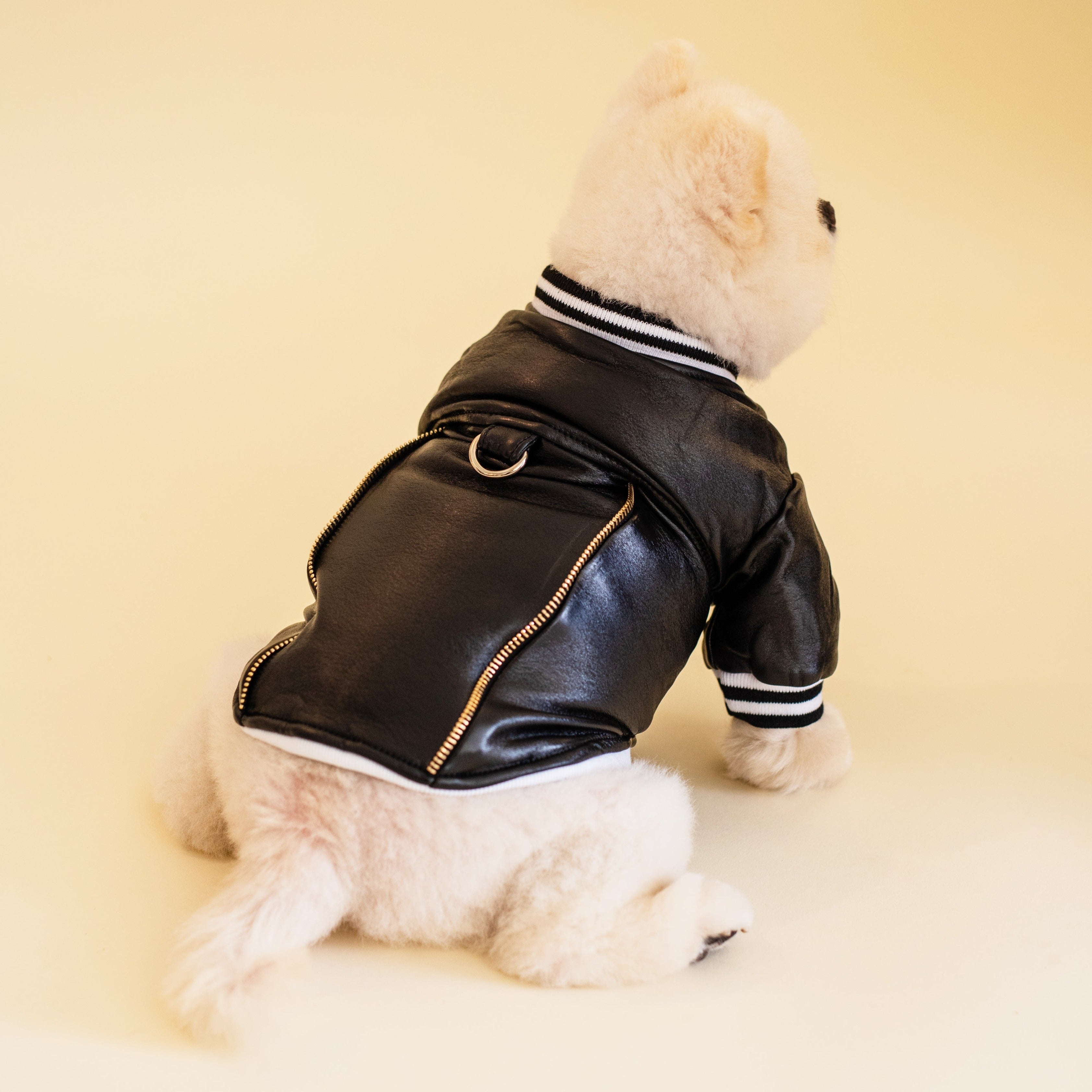 Varsity Jacket