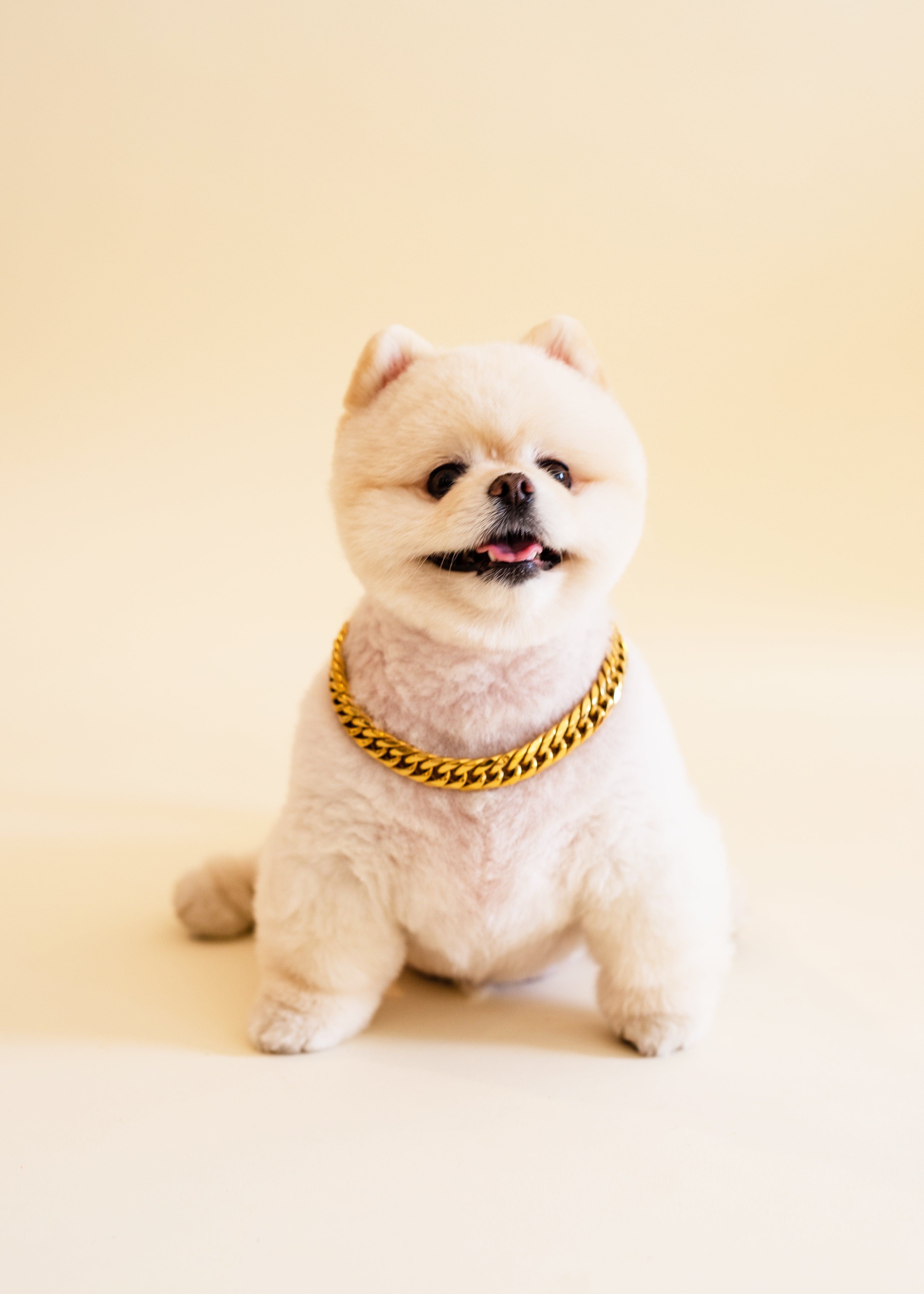 Rico Chain