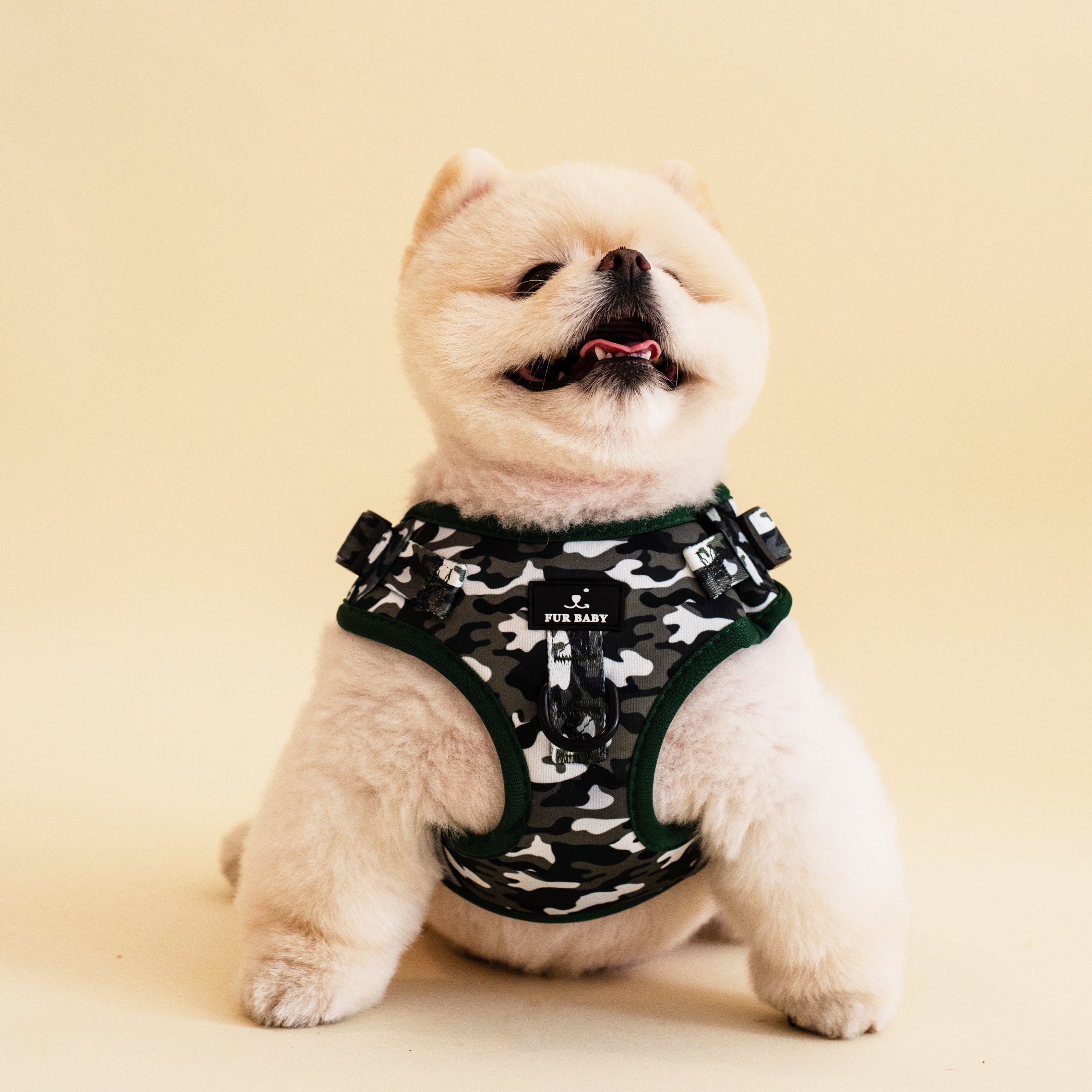 Camo Harness & Leash