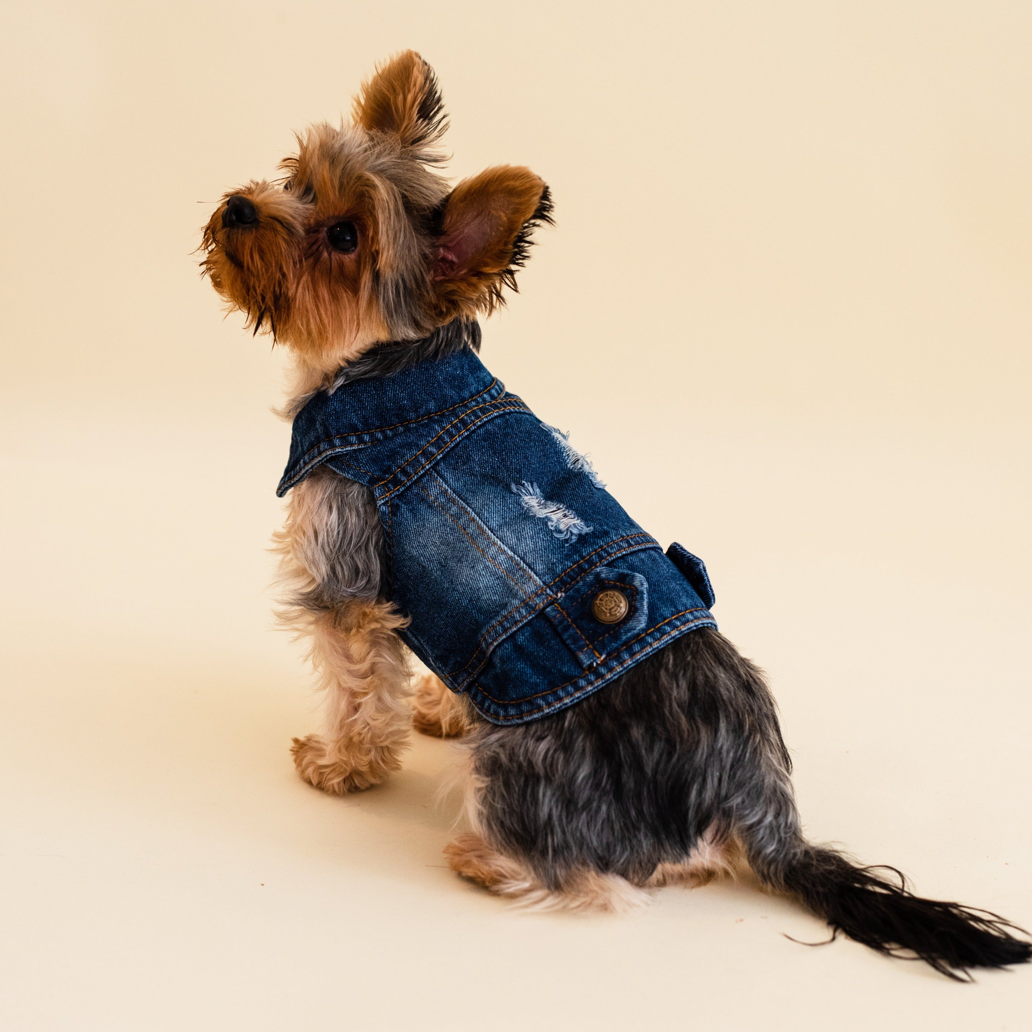 Classic Denim Jacket