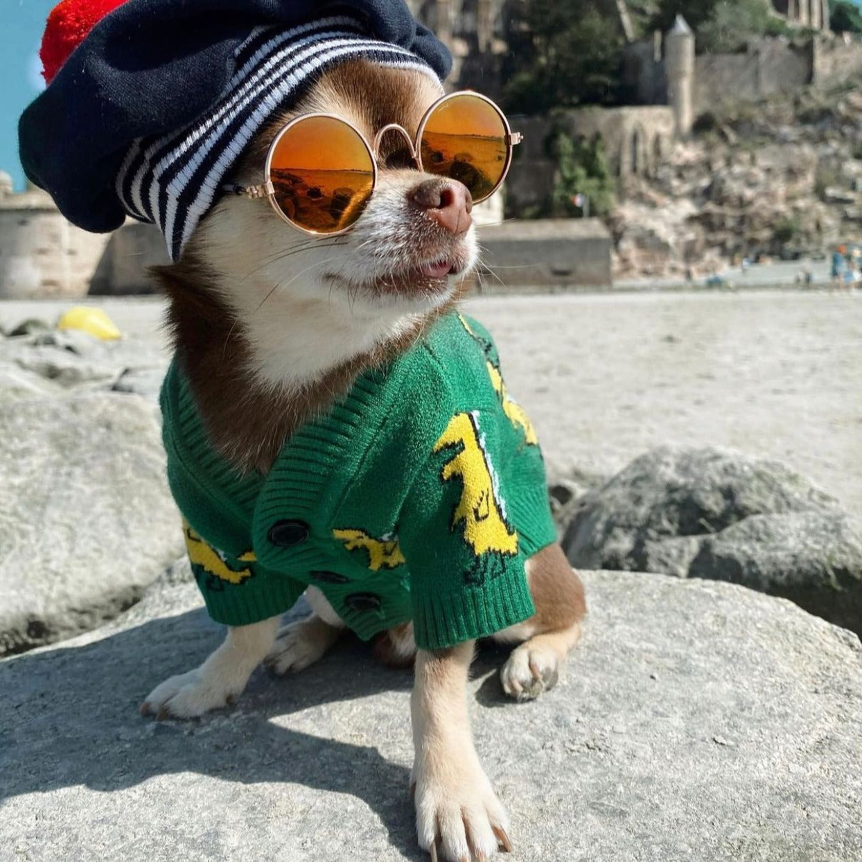Dino Cardigan Furbaby Dog Model