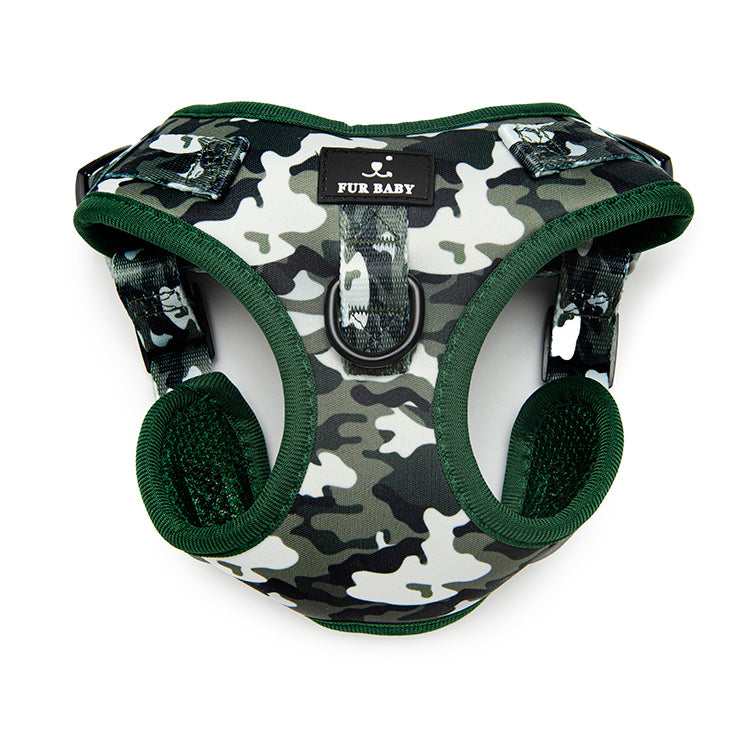 Camo Harness & Leash