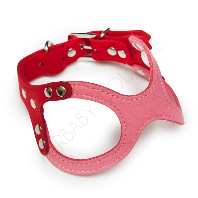 Saddle Up Harness