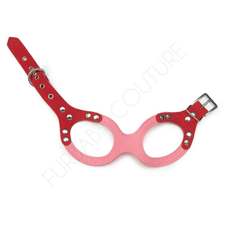 Saddle Up Harness
