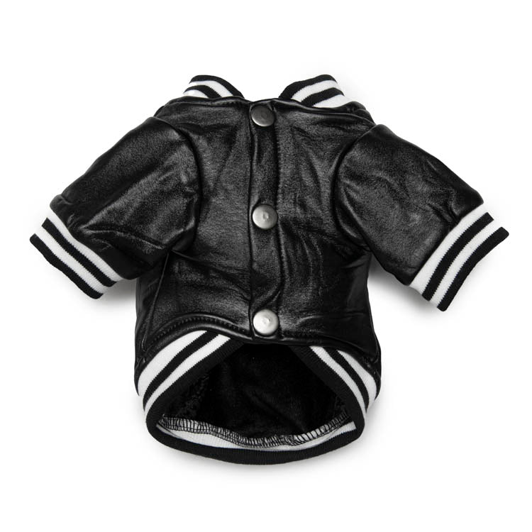 Varsity Jacket