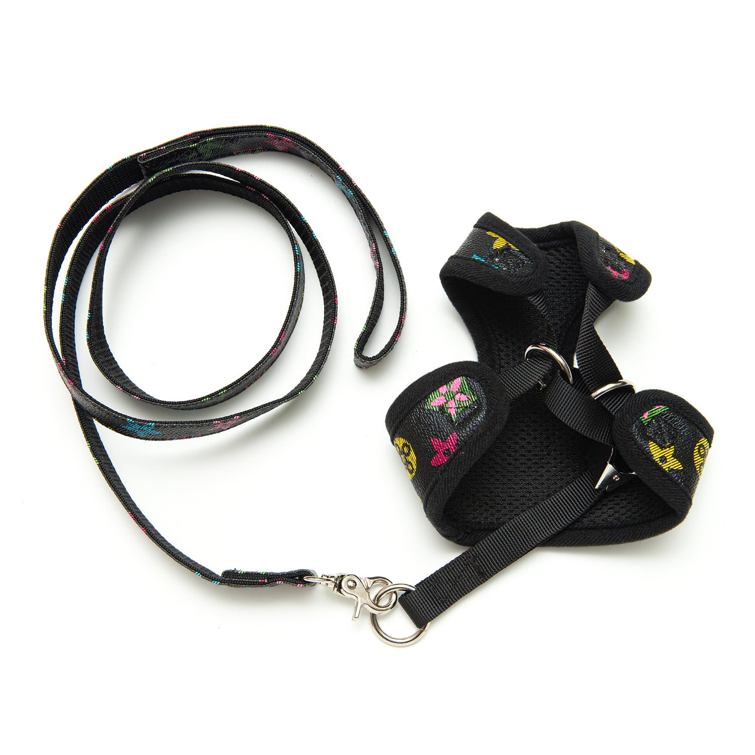 Pawtton Harness & Leash