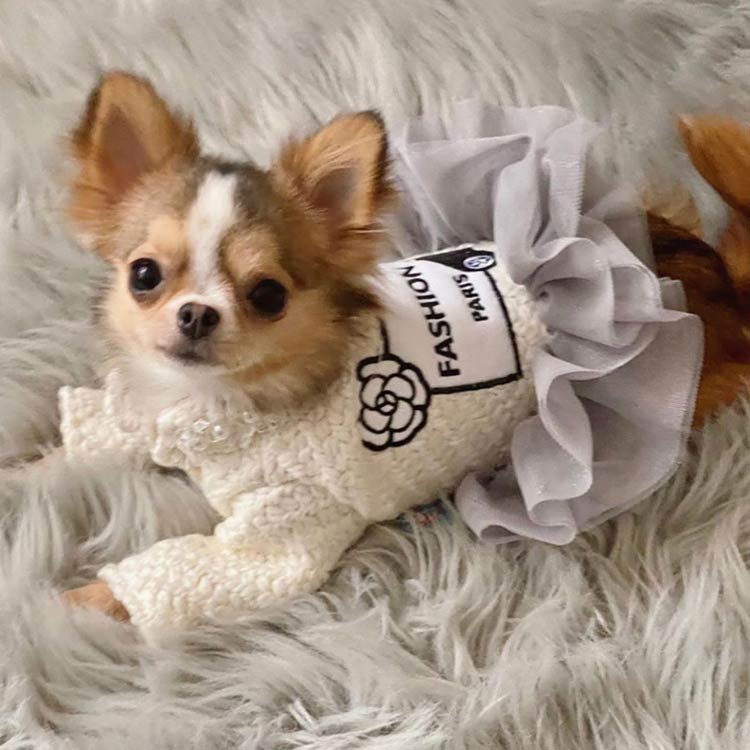 Fashion-Dress--Furbaby-Couture-Dog-Dresses