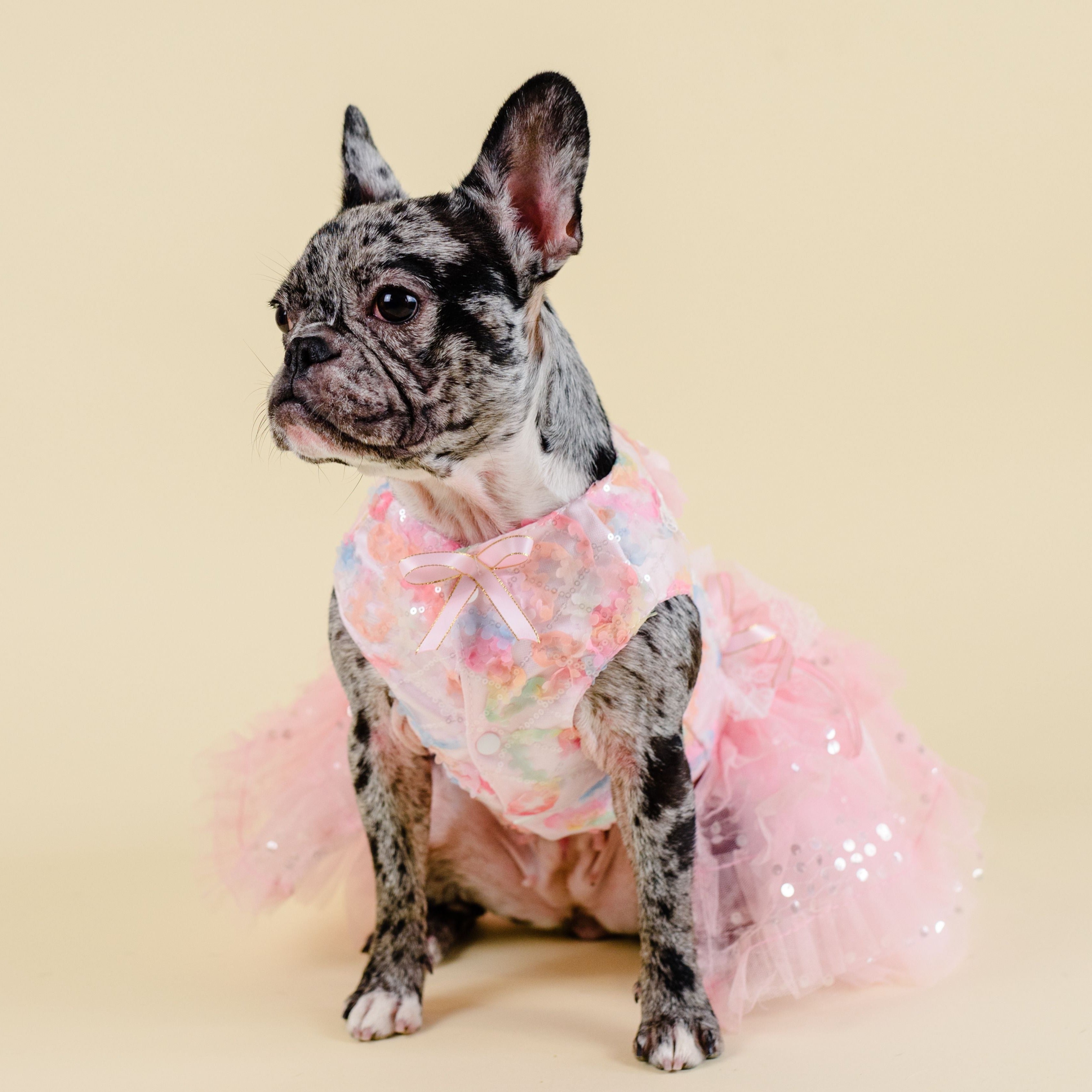 Mochi Dress