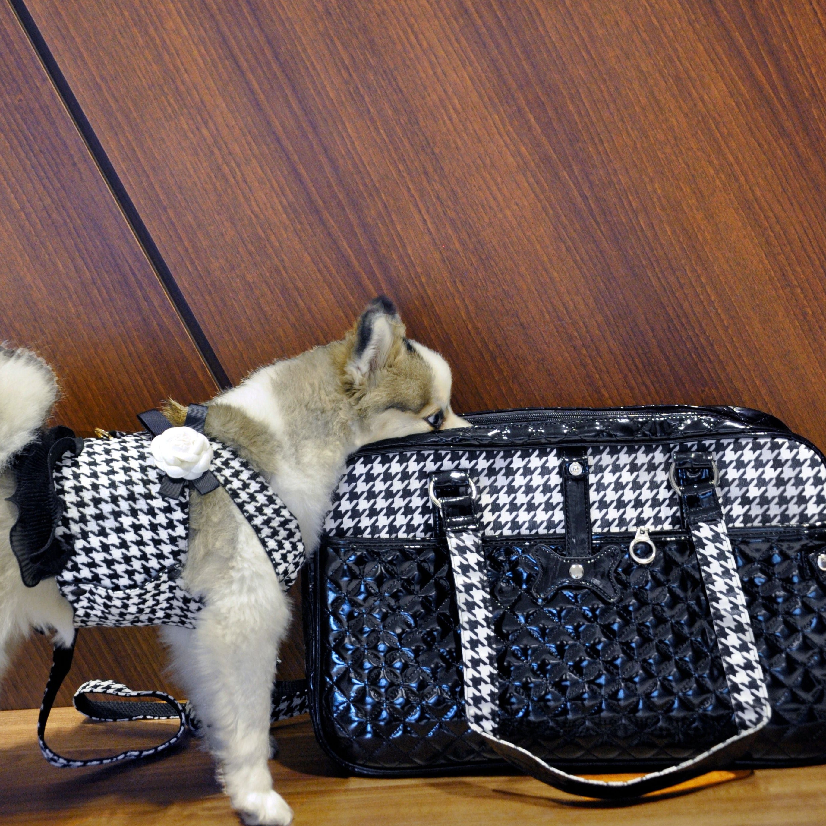 Posh Puppy Carrier Black