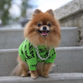 Load image into Gallery viewer, Pawlenciaga Knit