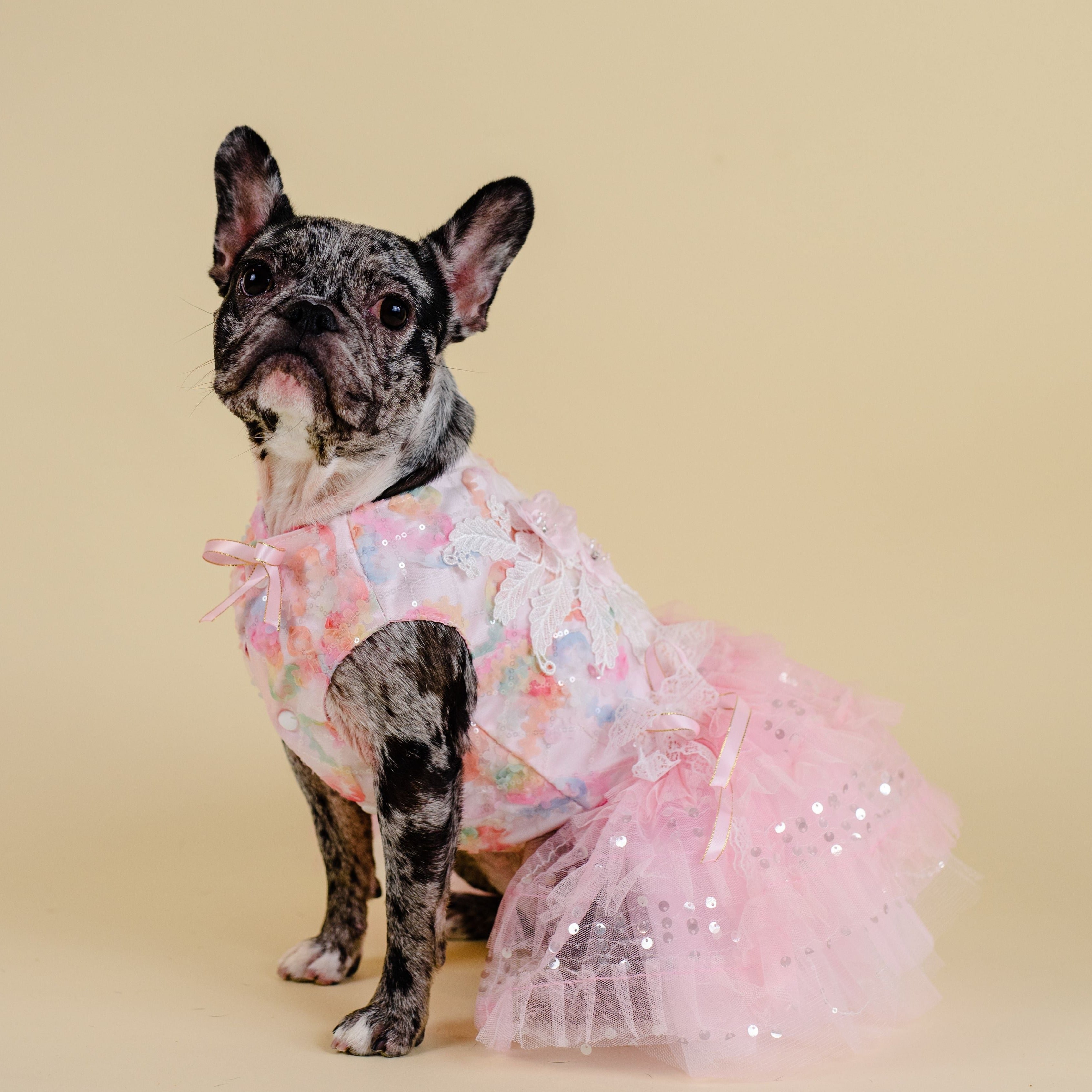 Mochi Dress