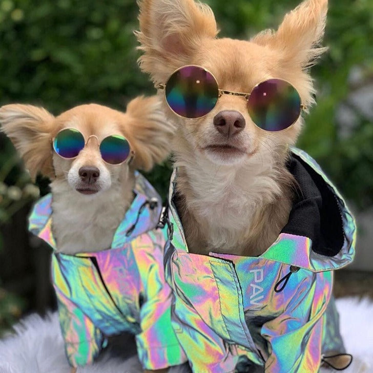 Reflective Windbreaker