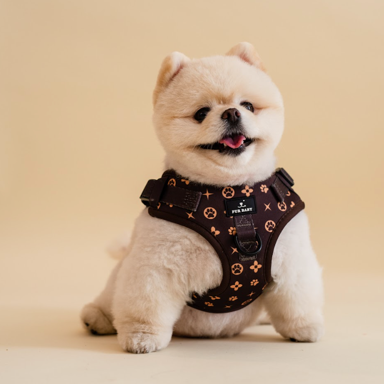 Furbaby Harness