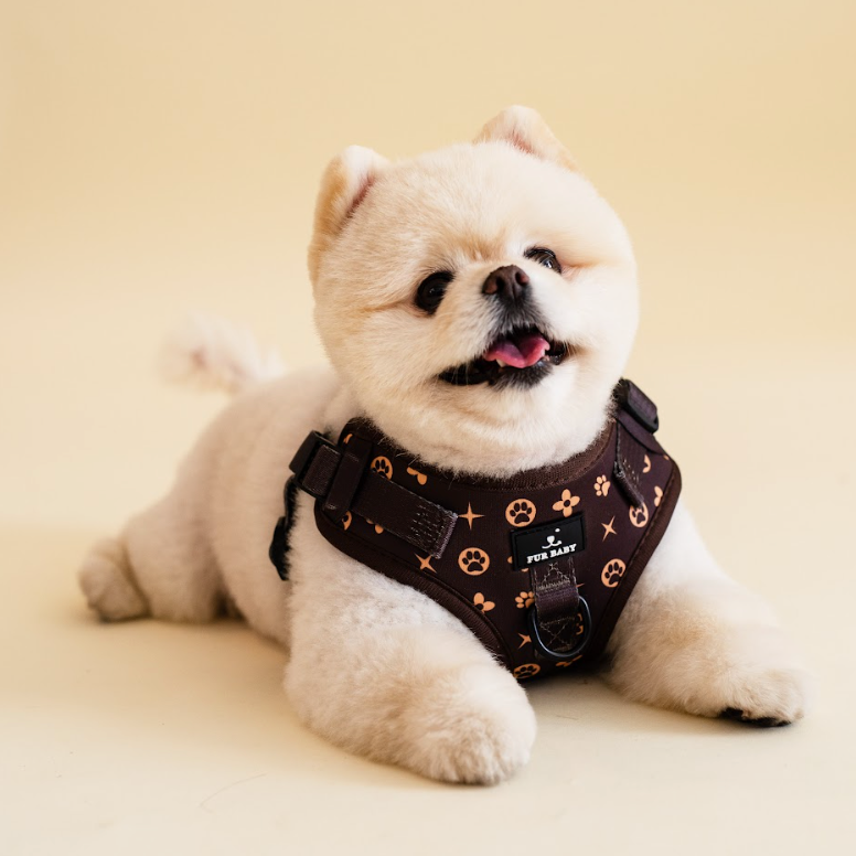 Furbaby Harness