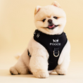 Load image into Gallery viewer, Pooch Harness