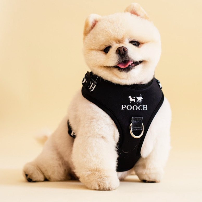Pooch Harness