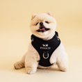 Load image into Gallery viewer, Pooch Harness