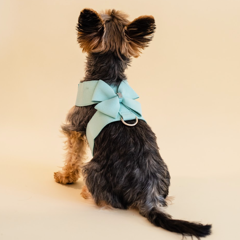 Rhinestone Harness & Leash