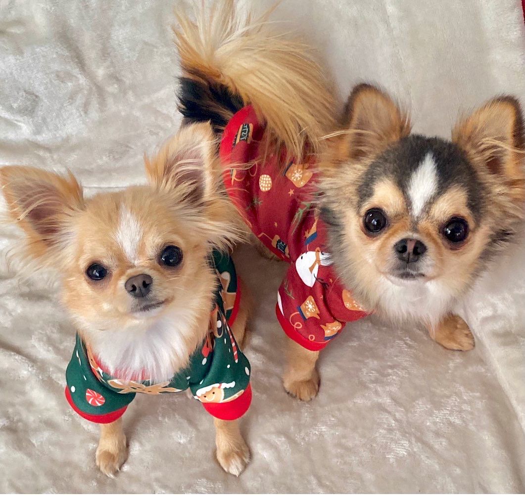Holiday Pullover