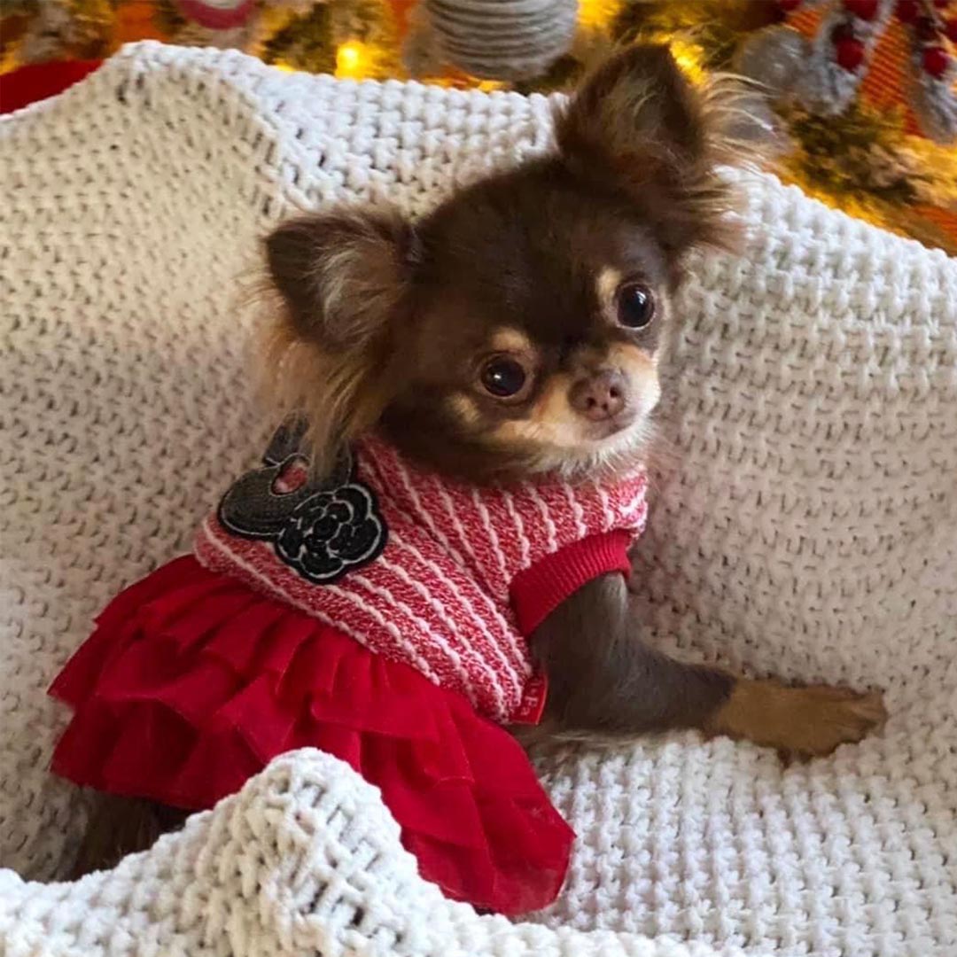 Classic Coco Dress Red