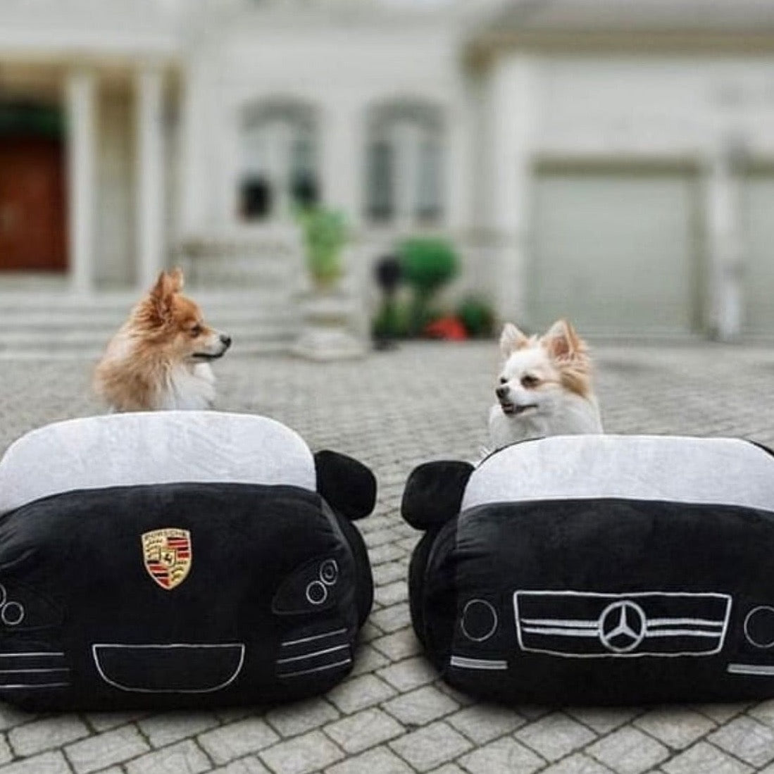 Custom Car Dog Bed