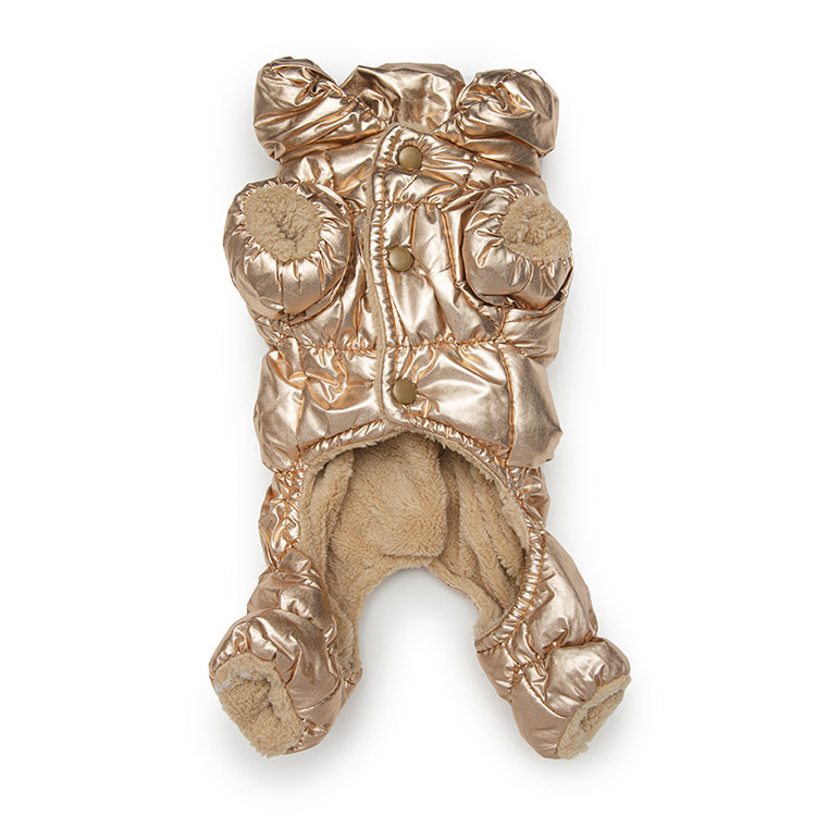 Small dog in Aspen Onesie from Furbaby Couture