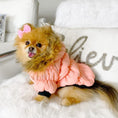 Load image into Gallery viewer, Pawcler Jacket
